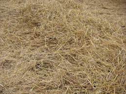 No-Till Farming with Straw Mulch: A Sustainable Approach to Agriculture