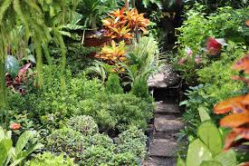 Enhancing Your Garden: A Guide to Diverse Landscaping Plants