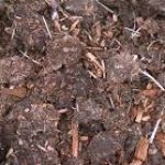 Group logo of Organic Cultivators